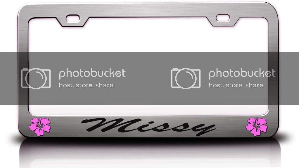 Missy Female Name Hibiscus Metal Car SUV Truck License Plate Frame Ch f45