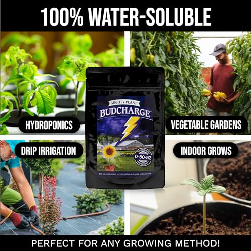 Bloom Booster Flowering Enhancer & Heavy Harvests 1 Pounds miniatura 4