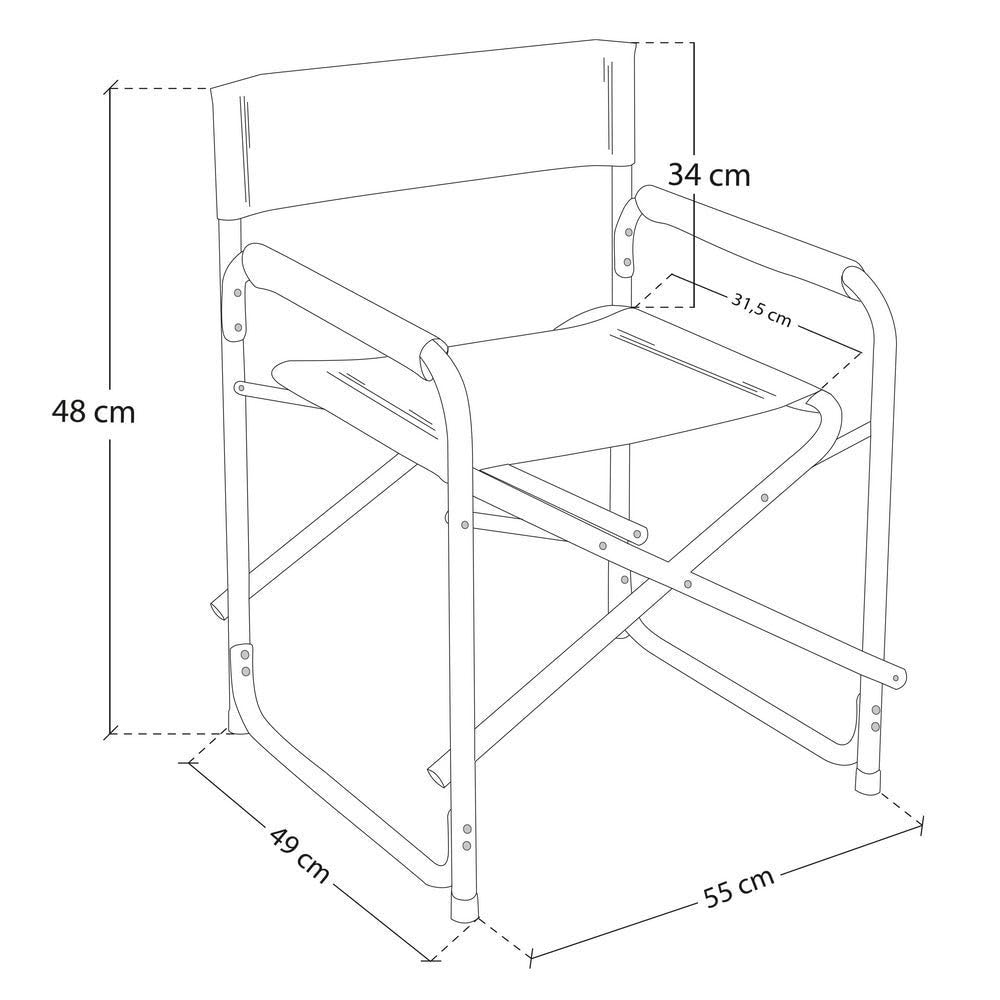 LOLAhome Silla de Playa Plegable para Pesca con diseño Director de Aluminio y loneta Azul Marino de 55x45x78 cm