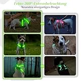 PZRLit Hundegeschirr Leuchtend Aufladbar für kleine Hunde, Leuchtgeschirr für XS Hunde, Reflektierend LED Geschirr für Welpen für sicheres Gehen in der Nacht-Grün