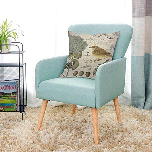 Aoyego Hydrangea And Bird Throw Pillow Cover French Eggs Nature Floral Nest Branch Insect Dragonfly Pillow Case 18X18 Inch Decorative Men Women Boy Girl Room Cushion Cover For Home Couch Bed #TOP2