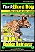 Golden Retriever, Golden Retriever Training AAA AKC | Think Like a Dog, but don': Here's EXACTLY How to TRAIN Your Golden Retriever (Volume 1)