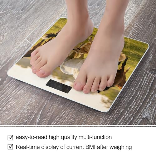 Balanza digital para baño con pantalla LED clara miniatura 5