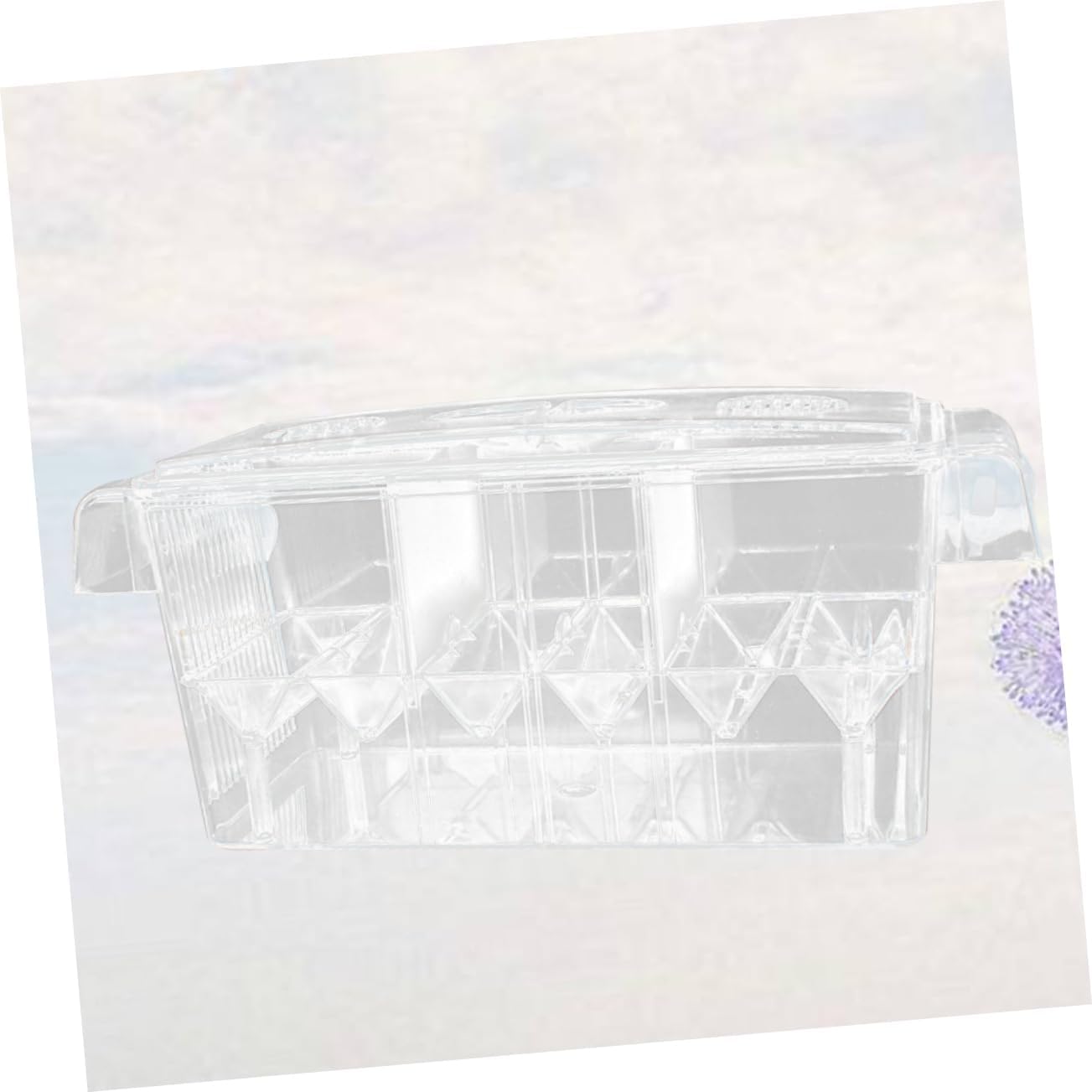 balacoo Cup Acrylic Fish Breeding Tank Isolation Box Hatching Box for Newborns Pregnant Fish Transparent Design Isolated Rooms for Improved Survival Rates