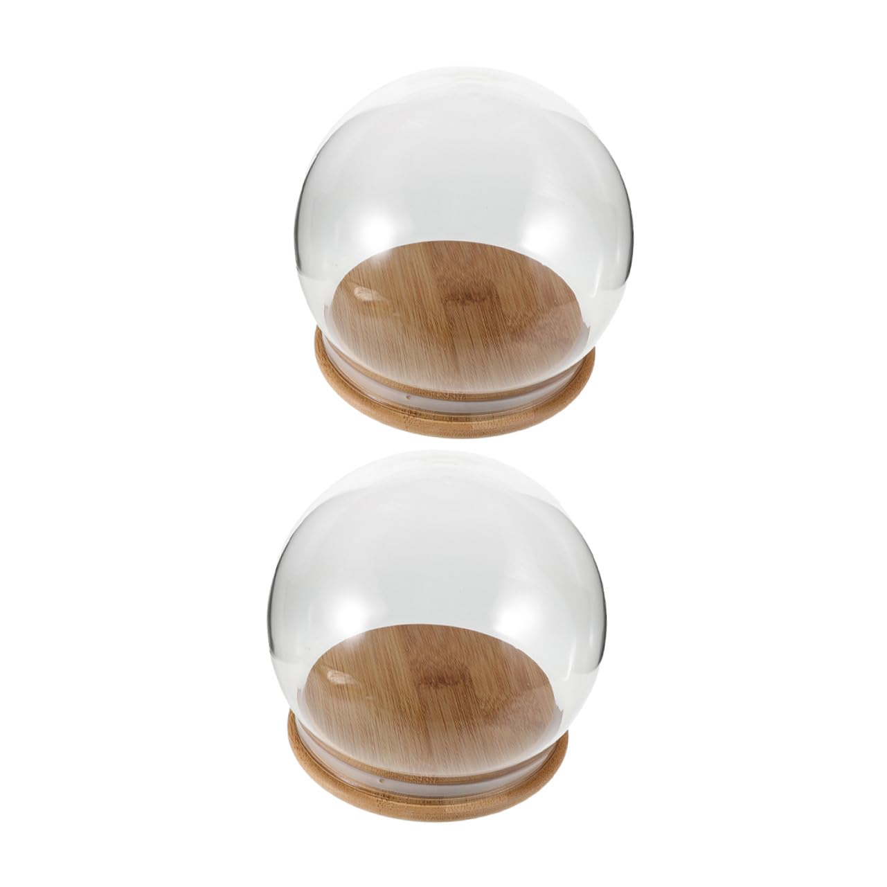 Cúpula de vidrio de alta transparencia y base orgánica TOYANDONA de 12 cm para proyectos artísticos