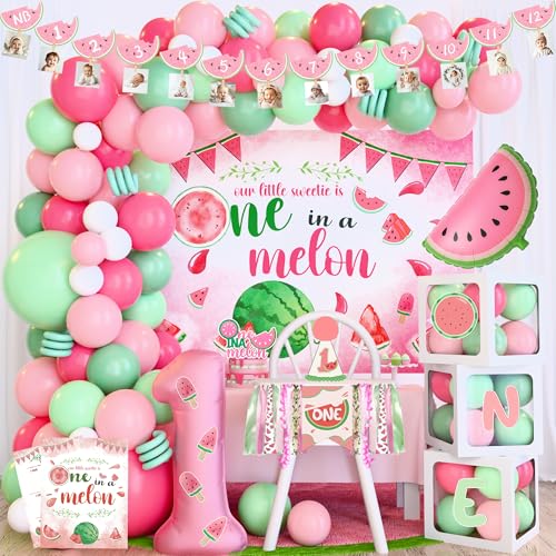 One In A Melon Birthday Decorations, Watermelon 1st Birthday Decorations, Summer Sweet Watermelon First Party Our Little Sweetie is One in A Melon for 1st Girl Party Pink Balloon Garland Crown Banner