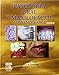 Patolog&Atilde;&shy;a oral y maxilofacial contempor&Atilde;&iexcl;nea (Spanish Edition)