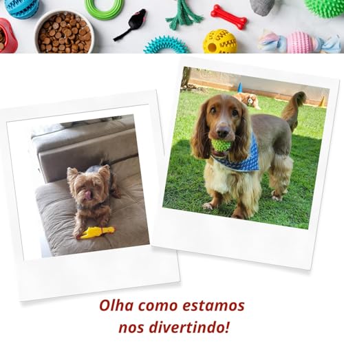 Kit 36 Brinquedos Sonoros de Borracha Grande para Pets - Mordedores Divertidos para Cães e Gatos Mat