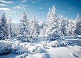 DePhoto 7X5Ft Winter Forest Backdrop Snow Covered Mountain Pine Forest Backdrop for Photography Merry Christmas Happy New Year Alps Blue Sky Cloud Photo Portrait Studio Props