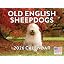 Old English Sheepdog