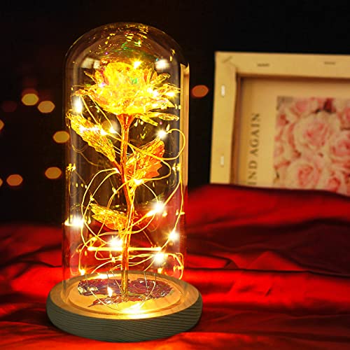 Rose Eternelle Fleurs Artificielles sous Cloche avec Lumières LED Rose Artificielle Colorée La Belle et la Bête pour Anniversaire, Saint Valentin, Fête des Mères et Anniversaire Cover