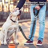 Anschnallgurt Hund Hundegurt Auto Zubehör Hundeanschnaller Hundegeschirr Sicherheitsgurt Autogurt Hunde Gurt Sicherheitsgeschirr fürs Auto, 1+1
