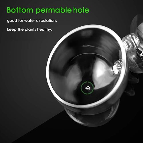 Miniatura 4 de capetsma 2 macetas de vidrio cristalino para plantas acuáticas, maceteros, soporte para plantas vivas de camarones rojos para tanque de peces con 4