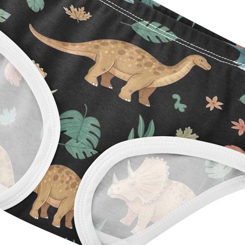 Classic Dinosaurs Stegosaurus Leaves Black Girls Underwear Toddler 2t Cotton Panties for Girl Funny Briefs Underpants4