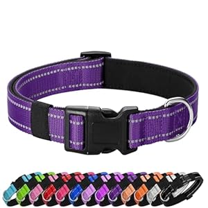 Reflective Dog Collar Padded with Soft Neoprene Breathable Quick Release Basic Dog Collars for Puppy Small Dogs Girl Purple Reflective Dog Collar Padded with Soft Neoprene Breathable Quick Release Basic Dog Collars for Puppy Small Dogs Girl Purple