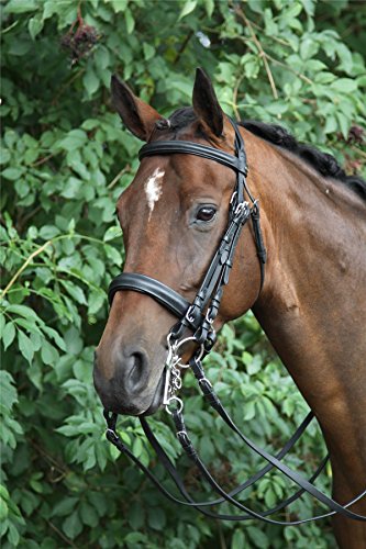 Bride Weymouth Horka marron doré évite les pressions sur la nuque du cheval