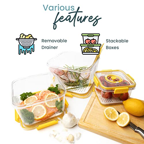 DMagazi Fruit Storage Containers for Fridge | 3 Set Fruit and Vegetable ...