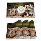 Set de Table (Lot de 4),Chien de Berger Australien en Plein air,Tapis de Table tissés en Vinyle à Tissage croisé, Ensemble de Tapis de Table lavables antidérapants 30x45 cm