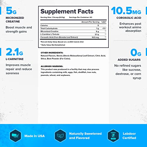 Legion Recharge Post Workout Supplement - All Natural Muscle Builder & Recovery Drink With Creatine Monohydrate. Naturally Sweetened & Flavored, Safe & Healthy. 60 Servings. (Fruit Punch, 60 Servings) #TOP2