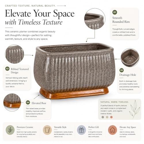 Image of Xtore Striking Textured Ceramic Bonsai Planter Pot for Indoor & Tabletop Decor | Ribbed Grey Finish with Elevated Modern Plant Styling (Pack of 1, Planter Only)