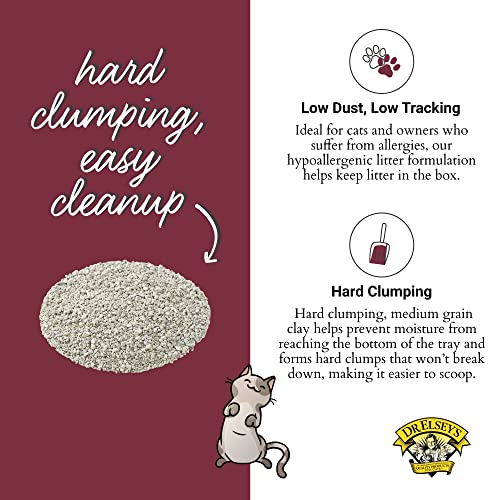 Precious Cat Classic Premium Clumping lettiera