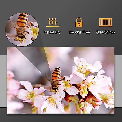 A-SUB Premium Photo Paper Luster 8.5x11 Inch 66lb for Inkjet Printers 50 Sheets, Single Sided