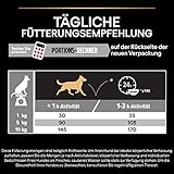 Pro Plan Small und Mini Adult Age Defence 9+, Hundefutter trocken, reich an Huhn, 1er Pack (1 x 3 kg)