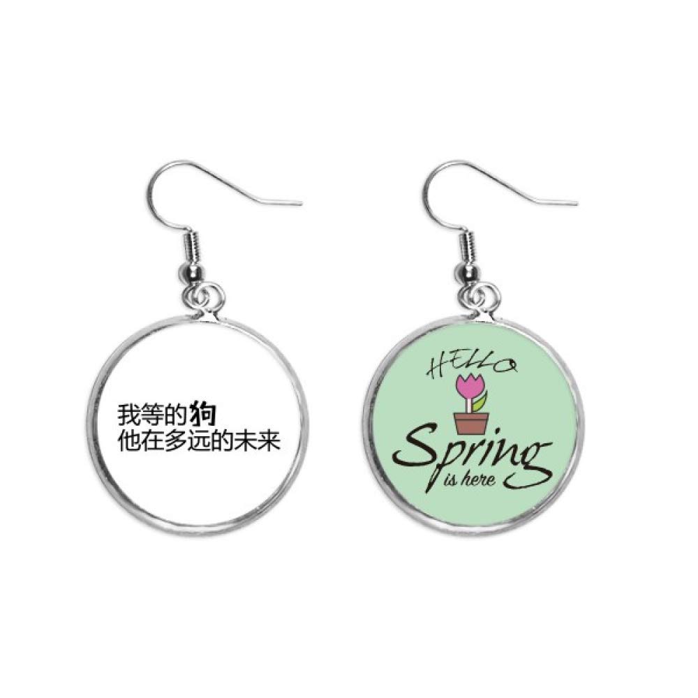 Pendientes de primavera colgantes estilo chino joyería decorativa 5