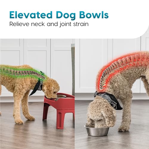 image for IRIS USA Elevated Dog Bowls, Adjustable Height, 2 Thick 64 oz Stainles