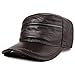 Linqingshiduodeshangmaoyouxiangongsi Hat Berretto da Baseball Moda Uomo Autunno Inverno in Pelle Cappello Nero coneflower (Color : Brown, Size : Adjustable)