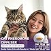 Cat Calming Pheromone Diffuser, Cat Anxiety Relief Diffuser Plug in Calmer with 2 Diffusers & 4 Refills, Reduce Cat Anxiety, Cat Fighting, Urine Marking, Scratching & Stress 48ml/Bottle for All Cats