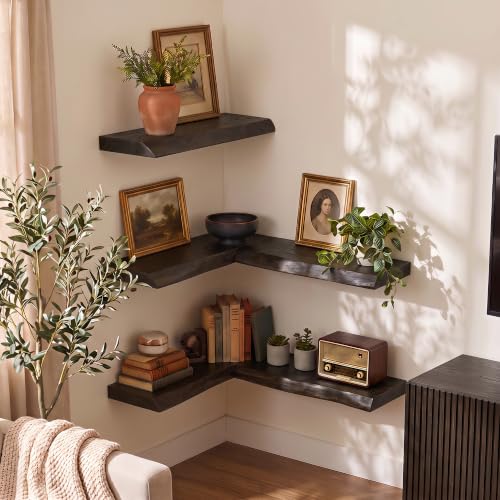 Image of Fun Memories 16 inch Elm Wood Floating Shelves for Wall, Walnut Finish, 2 Pack