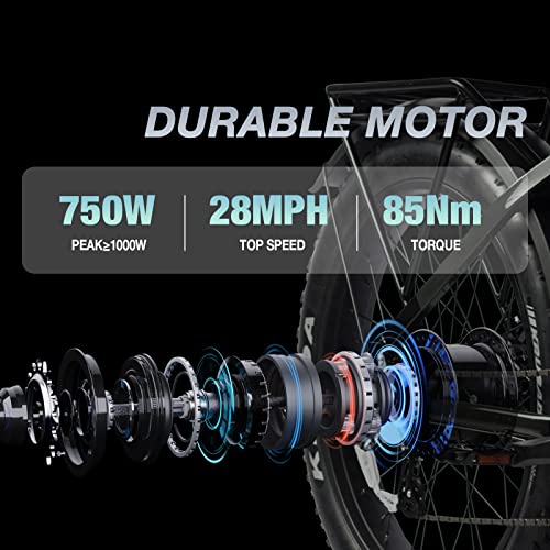 Young Electric Bike E-Scout, 750W Motor 48V 15Ah Lg Battery Up To 60 Miles 28Mph, 26''X4.0'' Fat Tire Mountain Snow Beach Off-Road Adult Ebike (Armor Black) #TOP2