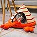 Leefasy Pet Cat Bed Cat House Comfortable Kitten Cave for Indoor Cats Washable Removable Accessories Small Dog House Pet Sleeping Bed, Hermit Crab