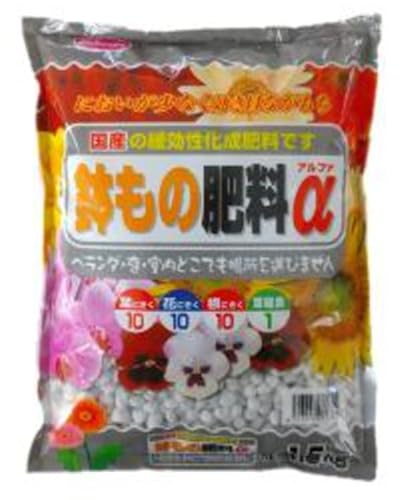 TAhz[v ̔엿 1.5kg IB엿 Ɍ 80   ϗtA