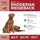 Wildsterne Breed Selection Rhodesian Ridgeback, 10 kg | Getreidefreies Trockenfutter | Monoprotein | von Tierärzten entwickelt