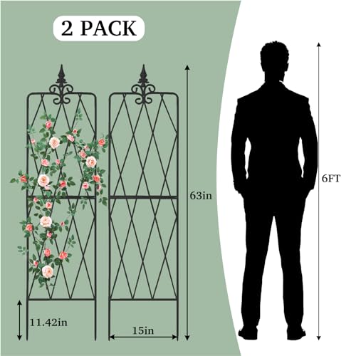 Garden Trellis for Climbing Plants Outdoor, Metal Garden Trellises, Decorative Garden Fencing Flower Trellis with Durable Powder Coating for Vines Plant Rose, Vegetable Support, Black (4, Pattern-A)