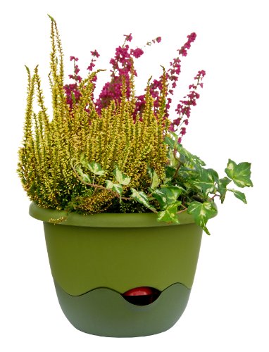 Schumm Blumenampel Mareta, 25 cm Durchmesser – Ansicht 5