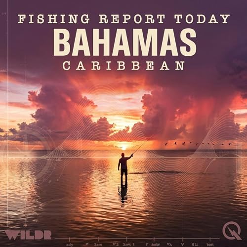 『Bahamas, Caribbean Fishing Report Today』のカバーアート