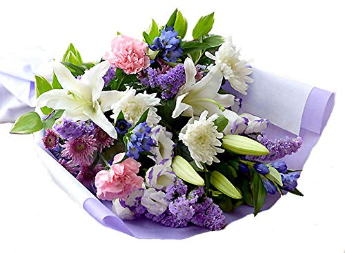 [veB }[Ch]   ԑ     Ȃ   ފ ~   I͂邩 @v X^_[h^Cv -摜zMT[rXt(12/22-1/9͔zMs)-