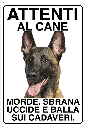 MALIONOIS PASTORE BELGA 1 Attenti al cane morde sbrana uccide e balla sui cadaveri (20X30