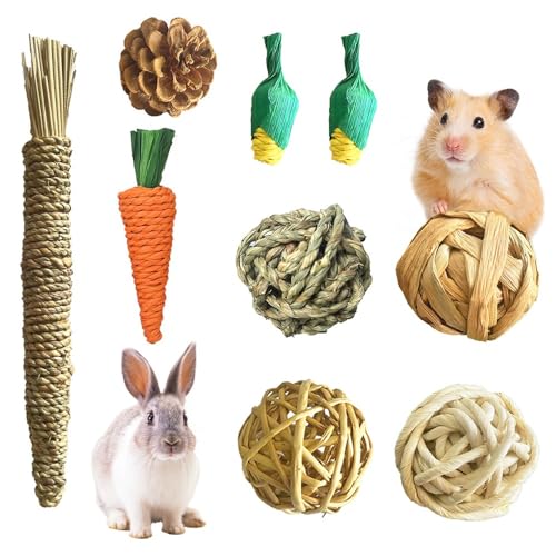 噛むおもちゃ 小動物用 9個セット ニンジン トウモロコシの形 カラフル 歯磨き おもちゃ 多種類 小動物 おやつ 天然素材 ストレス解消 ウサギ チンチラ ハムスター モルモット リス ペット用 ミニあそび道具