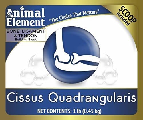 Cissus Quadralangularis 2.5% Ketosterone Extract - 1 Lb. Supports Healthy Joints and Bones, All Natural, GMO Free