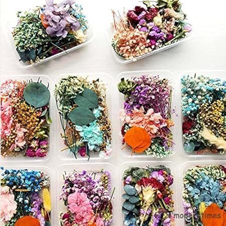 Natural Real Dried Flowers for Art Craft - Mixed & Multicolor for Soap, Artificial Candles, Scrapbooking, DIY, Resin Jewelry, Pendant - [1 Set of Random Box] Multicolor-image-46