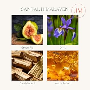 LA JOLIE MUSE Sandalwood Candle Wood Wicked Large Candle for Home Scented Scented Candle Gifts for MenWomen Long Burning Glass Jar Candle Santal Himalayen 19oz