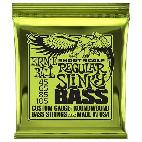 Cordes Ernie Ball Regular Slinky pour basse Cover