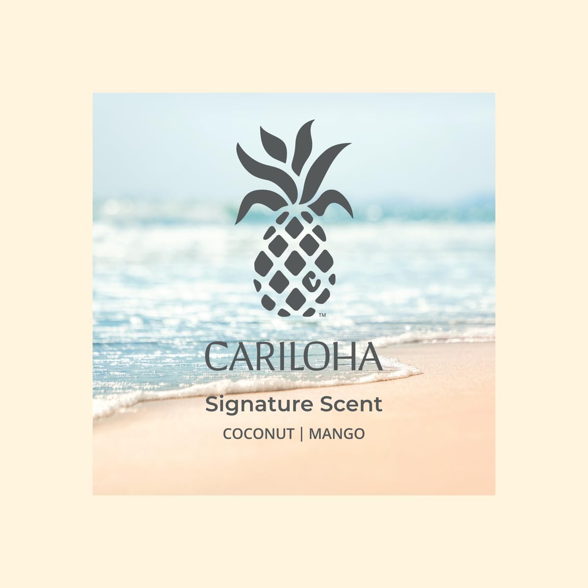 Aera Cariloha Signature Home Fragrance Scent Refill - Notes of Mango and Coconut - Works with Aera Mini Diffuser, Mini Scent Capsule Size