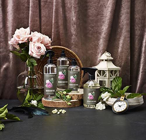 Image of Caldrea Hand Wash Soap, Rosewater Driftwood Scent, 10.8 Oz