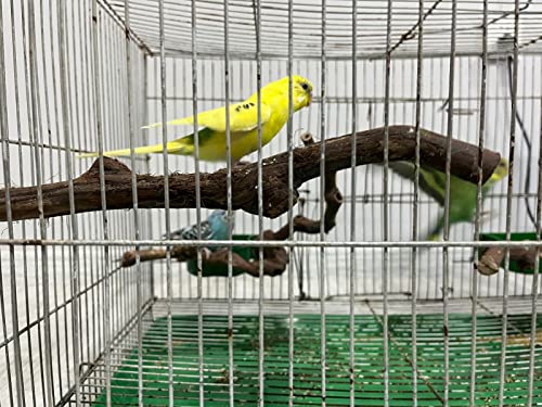 Bird Perch Nature Wood Stand Natural Wood Stand Parakeet Toys Bird Cage Accessories For Parrots Budgie Platform Grape Tree Manufacture（4-Piece Set） (Shape 1) #TOP2
