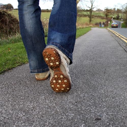 ADDBIBLE® Colossians 2 - Walk in Him